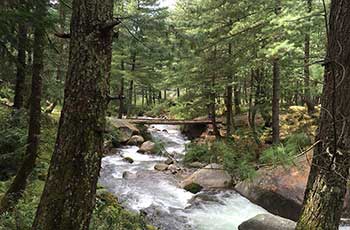 ShivAdya Resort, Manali