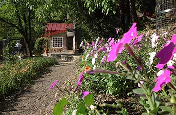 Abbotsford, Nainital